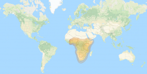Eutelsat 7C: Africa footprint map