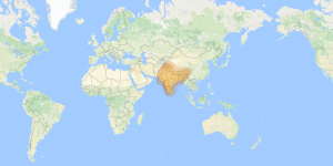 ABS 2: South Asia footprint map