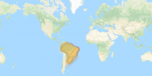 SES 6: Brazil footprint map