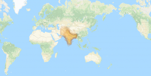 SES 8: South Asia footprint map